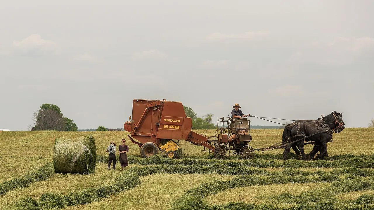 Rural family in the field — warm lifestyle scene